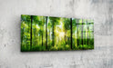 Tableau en verre - Forêt et Soleil - Deco Story - L’histoire de la décoration s'écrit ici