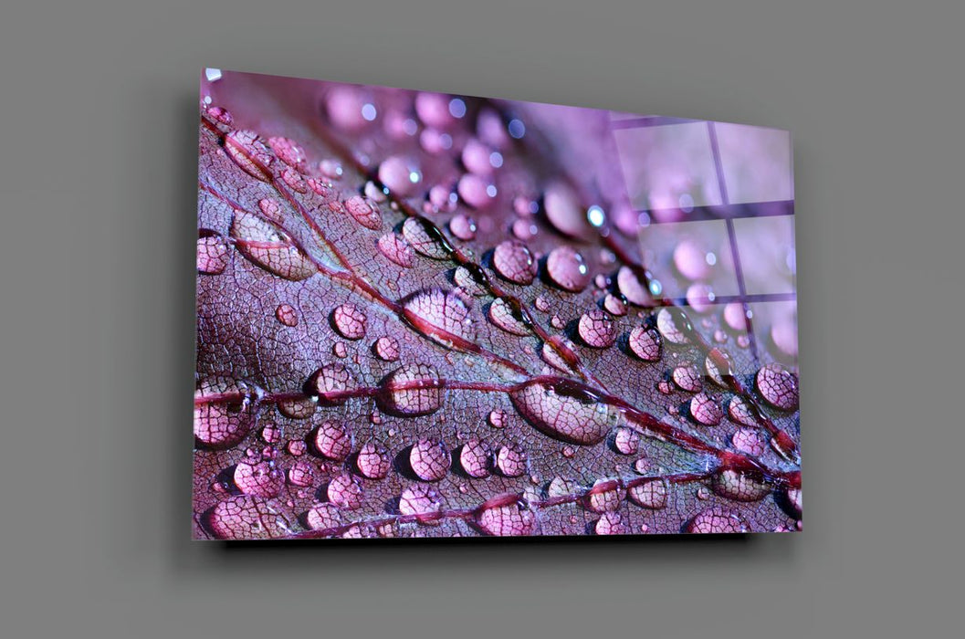 Tableau en verre - Feuille violette aux gouttes d'eau - Deco Story - L’histoire de la décoration s'écrit ici